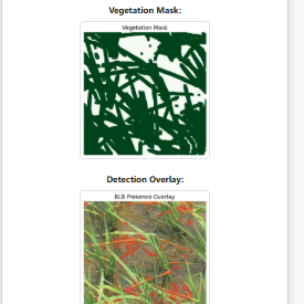 AI Plant Disease Detector